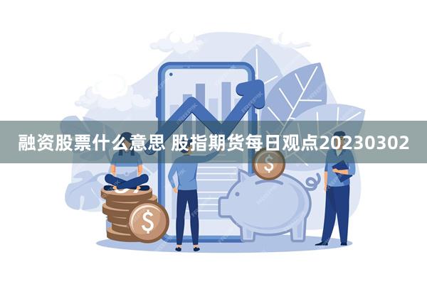 融资股票什么意思 股指期货每日观点20230302