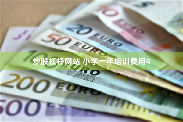 炒股杠杆网站 小学一年培训费用4