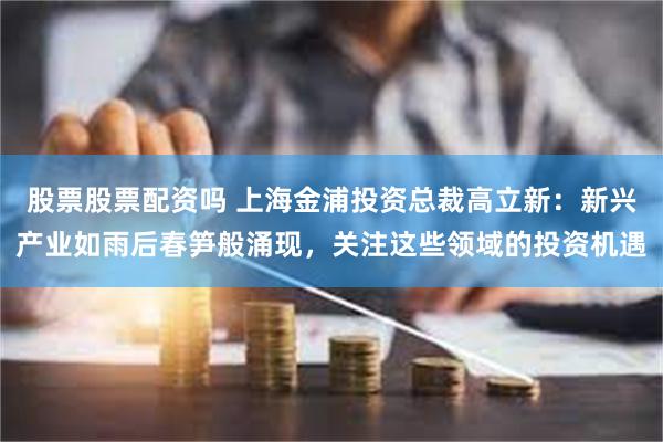 股票股票配资吗 上海金浦投资总裁高立新：新兴产业如雨后春笋般涌现，关注这些领域的投资机遇