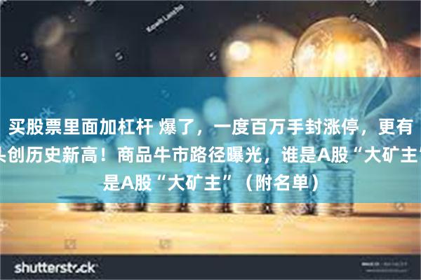 买股票里面加杠杆 爆了，一度百万手封涨停，更有4500亿龙头创历史新高！商品牛市路径曝光，谁是A股“大矿主”（附名单）
