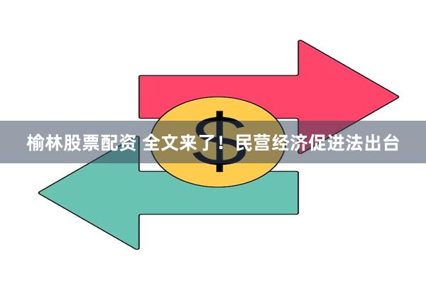 榆林股票配资 全文来了！民营经济促进法出台