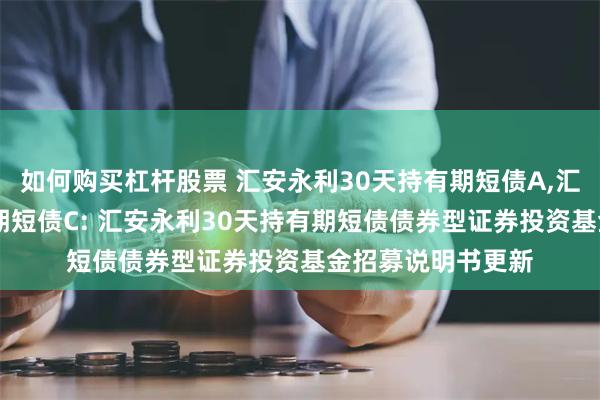 如何购买杠杆股票 汇安永利30天持有期短债A,汇安永利30天持有期短债C: 汇安永利30天持有期短债债券型证券投资基金招募说明书更新