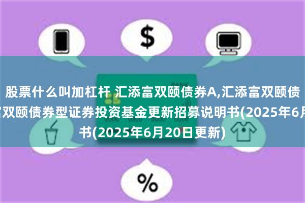 股票什么叫加杠杆 汇添富双颐债券A,汇添富双颐债券C: 汇添富双颐债券型证券投资基金更新招募说明书(2025年6月20日更新)