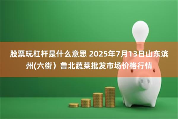 股票玩杠杆是什么意思 2025年7月13日山东滨州(六街)鲁北蔬菜批发市场价格行情