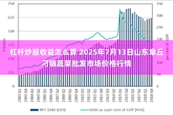 杠杆炒股收益怎么算 2025年7月13日山东章丘刁镇蔬菜批发市场价格行情