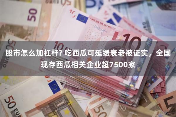 股市怎么加杠杆? 吃西瓜可延缓衰老被证实，全国现存西瓜相关企业超7500家