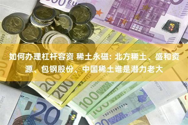 如何办理杠杆容资 稀土永磁: 北方稀土、盛和资源、包钢股份、中国稀土谁是潜力老大