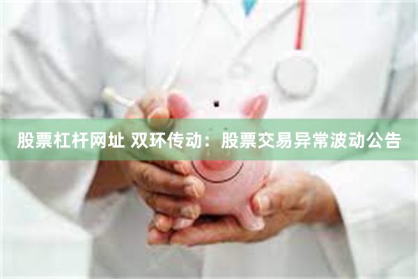 股票杠杆网址 双环传动：股票交易异常波动公告