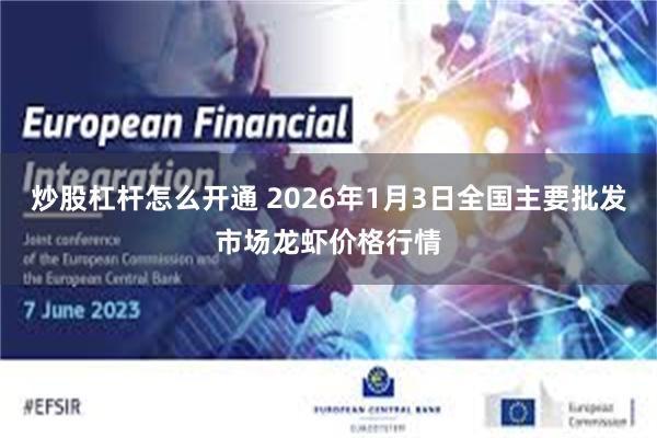 炒股杠杆怎么开通 2026年1月3日全国主要批发市场龙虾价格行情